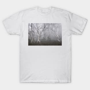 Trees In The Mist T-Shirt